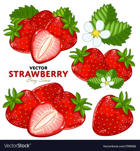 Strawberry Set Royalty Free Vector Image - VectorStock Strawberry Vector, Strawberry Clipart, Strawberry Leaves, Basket Drawing, Fruit Icons, Vector Food, Strawberry Fruit, Floral Ideas, Vector Cartoon