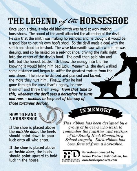 Horseshoe Sayings, Farrier Quotes, Western Signage, Horse Farrier, Rodeo Quotes, Horse Knowledge, Horseshoe Projects, Diy Horse, Horse Care Tips