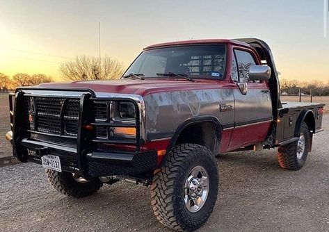 Work Trucks, First Gen Dodge Cummins, First Gen Cummins, First Gen Dodge, 2nd Gen Cummins Single Cab, 1st Gen Dodge Dually, Cummins Diesel Trucks, 1st Gen Cummins, 1st Gen Cummins Flatbed