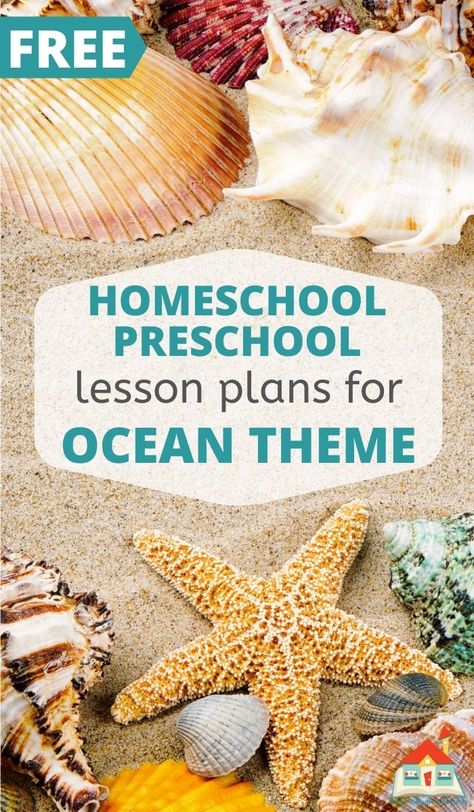 This engaging ocean preschool theme is full of ways to bring the ocean to your preschoolers, and all in tidy printable ocean-themed lesson plans. Here you'll find 15+ ideas for an ocean preschool theme, including book lists, art and sensory play, literacy activities, and some math and science fun. Ocean Study Preschool, Ocean Theme Lesson Plans For Toddlers, Beach Theme Lesson Plans For Preschool, Ocean Preschool Theme, Sea Animals Preschool, Ocean Worksheets, Ocean Themed Literacy Activities, Ocean Books Preschool, Ocean Activities Preschool