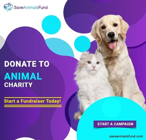 Animal charity organizations always need funds to achieve their missions. A financial donation, no matter how small, can make a major difference in the lives of animals. To donate or to start a campaign, log on to: https://saveanimalsfund.com/ #fundraiser #animalrescue #donateforanimals #animalcharity #fundraisingcampaign #fundraisertool Charity Poster, Animal Charity, Food Donation, Fundraising Campaign, Charity Organizations, Save Animals, Shelter Dogs, No Matter How, Animal Shelter