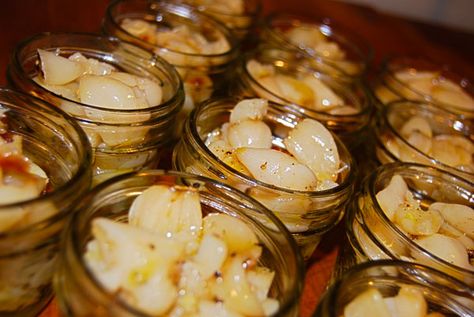 Canning Roasted Garlic, Oven Roasted Garlic, Roasting Garlic In Oven, Hardneck Garlic, Pressure Canning, Oven Roast, Canning Recipes, Roasted Garlic, Summer Garden