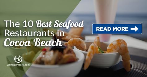 On the hunt for the best seafood in Cocoa Beach? Follow our listicle of the most lip-smacking Cocoa Beach seafood restaurants with food so good, you may ask for extra servings! Cocoa Beach Restaurants, Steamed Mussels, Cocoa Beach Florida, Best Seafood Restaurant, Seafood Restaurants, Big Appetite, Cool Things To Do, Pine Island, Steak And Seafood