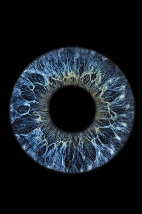 Eyeball Close Up, Iris Of The Eye, Eye Iris Photography, Iris Eye Photography, Eyes Close Up, Iris Photography Eye, Blue Iris Eye, Eyes Up Close, Meditation Yoga Poses