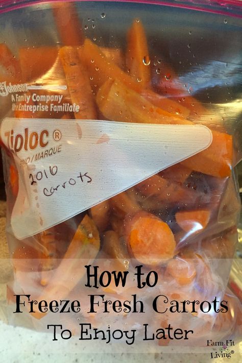 Freeze Fresh Carrots Preserving Carrots, How To Freeze Carrots, Freezing Carrots, Freezing Veggies, Preserving Vegetables, Freezing Vegetables, Freezing Fruit, Fresh Carrots, Vegetable Side Dish