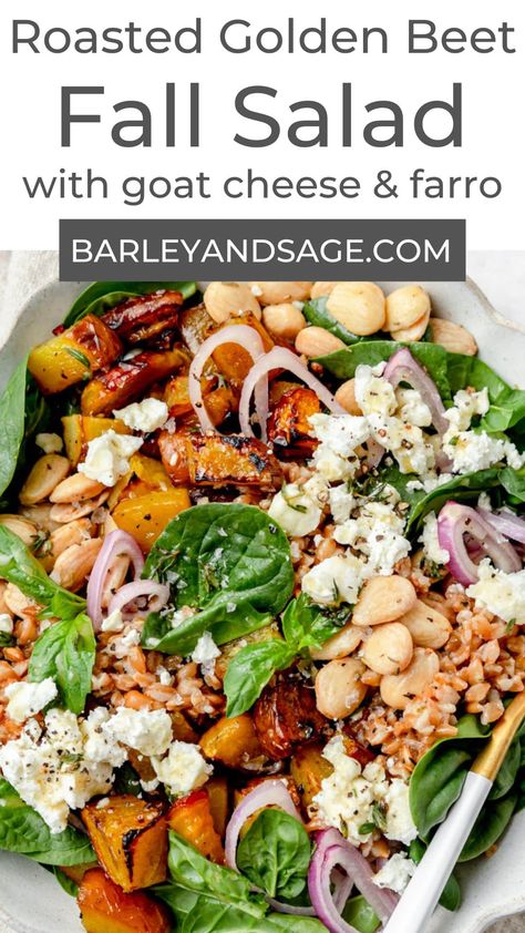 This roasted golden beet salad is the perfect addition to any fall meal! With roasted beets, farro, goat cheese, and crunchy almonds it's hearty enough to serve as a meal on its own, or as a side dish with roast chicken or potato leek soup! Golden Beet Salad, Golden Beets Salad, Roasted Golden Beets, Farro Recipes, Bowls Recipes, Potassium Foods, Salad Inspiration, Fall Meal, High Potassium