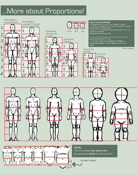 Proportions Guide by FOERVRAENGD.deviantart.com Understanding Anatomy, Drawing Proportions, Anatomy Tutorial, Foto Tips, Anatomy Drawing, Poses References, Body Drawing, Anatomy Reference, Art Instructions