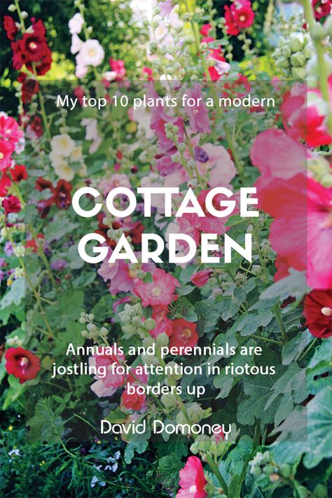 Modern Cottage Garden, Cottage Garden Style, Purple Flowers Garden, Lawn Alternatives, British Garden, Cottage Garden Plants, Fragrant Plant, Cottage Gardens, Veg Garden