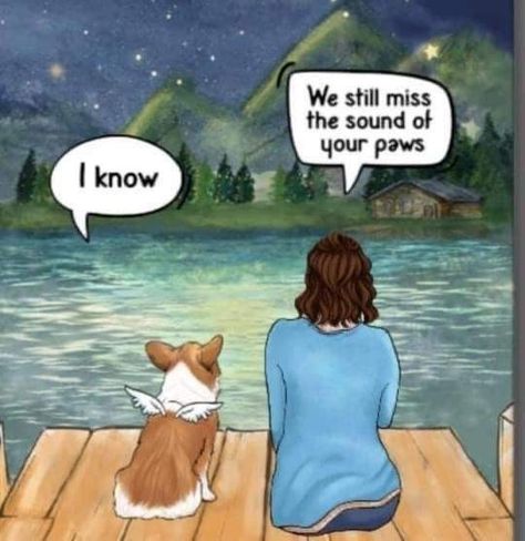 Miss My Dog, Dog Poems, Animal Tattoo Ideas, Dog Quotes Love, Dog Heaven, Pet Remembrance, My Happiness, Losing A Dog, Animal Quotes