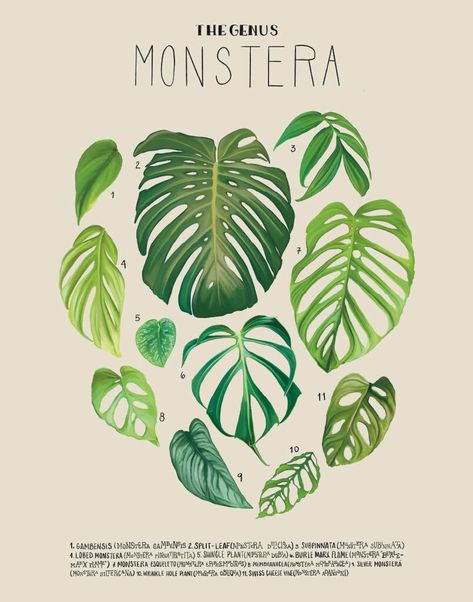 Monstera monkey mask