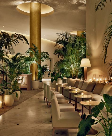 Miami Beach Edition, Miami Beach Hotels, Edition Hotel, Hotel Lobby Design, Miami Hotels, Casa Country, Interior Design Guide, Hotel Interior Design, Lobby Design