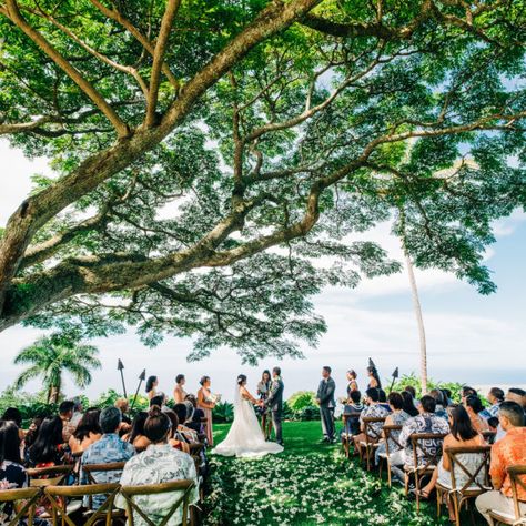 Hawaii Wedding Venues, Big Island Wedding, Wedding Venues Hawaii, Oceanfront Wedding, Kauai Wedding, Wedding Photo Gallery, Hawaii Honeymoon, Wedding Beach Ceremony, Wedding Reception Locations