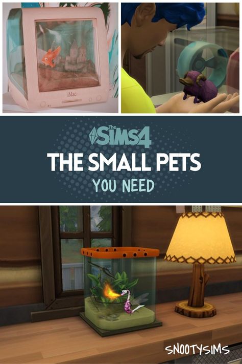 Besides cats and dogs that were introduced to us in The Sims 4: Cats and Dogs expansion pack, Sims can finally have a rodent as a new pet. Rodents came to us in Sims 4: My First Pet Stuff expansion pack. Not only that, but the game allows you to keep other small animals as pets, and some can even be given names. Taking care of sims 4 small pets, however, isn’t as straightforward as caring for cats and dogs. Sims 4 Small Pets Mod, Sims 4 Small Animals, My First Pet Sims 4 Cc, Pet Mod Sims 4, Sims 4 Rodents, Control Pet Mod Sims 4, Sims 4 Rodent Cc, Sims 4 Pet Traits, Sims 4 Dog Furniture