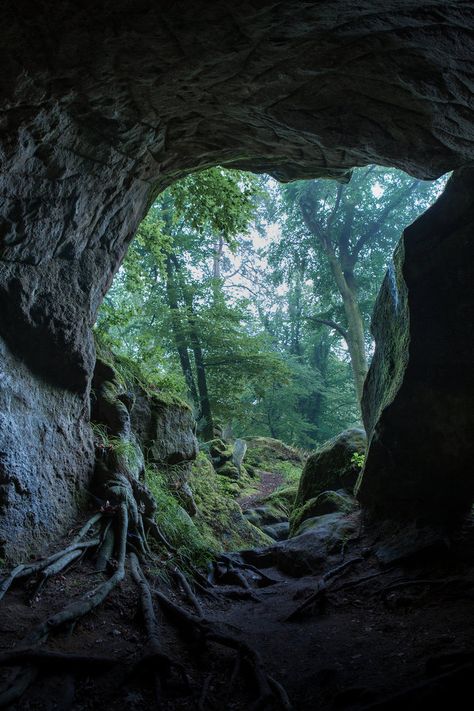 Cave opening 01 by ISOStock on DeviantArt Animal Dens Nature, Cave In Forest, Cave Opening, Earth Aesthetic, Dragon Cave, Background Inspiration, Dnd Campaign, Httyd 3, Mystical Places