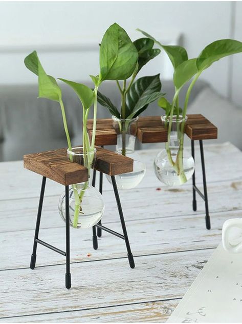 This plant pot offers a simple but elegant way to display greenery, adding a unique charm to your home. Widely used in shelf, home, office, living rooms, bedrooms, balcony, patios, an indoor or outdoor garden without taking too much space. Perfect to decorate your balcony, windowsill, dining table, desk table, office desk and room, modern and colorful looking also makes it excellent to be a gift for friends and family. Plants In Glass Jars, Vase Transparent, Bulb Vase, Terrarium Containers, Wooden Plant Stands, Hydroponic Plants, Metal Plant Stand, Glass Flower Vases, Glass Planter