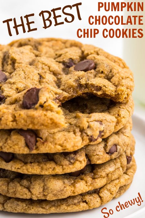 Pumpkin Chocolate Chip Cookies Gf, Pumpkin Cookies With Chocolate Chips, Chewy Pumpkin Chocolate Chip Cookies, Pumpkin Butter Cookies, Fall Chocolate Chip Cookies, Pumpkin Cookies Chocolate Chip, Pumpkin Chip Cookies, Best Pumpkin Chocolate Chip Cookies, Pumpkin Chocolate Chip Cookies Recipe