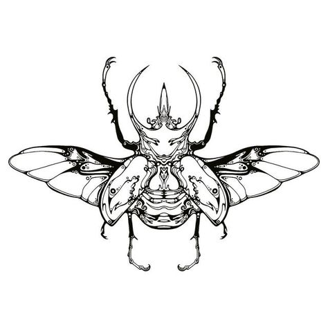 Scarabs Tattoo, Bug Tattoo Design, Beetle Tattoo Design, Bugs Tattoo, Scarab Beetle Tattoo, Insect Drawings, Insect Tattoos, Insects Tattoo, Bug Drawing