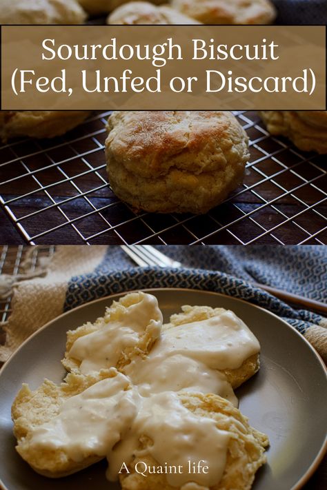 This sourdough biscuit recipe makes a delicious, tangy biscuit made with the use of a sourdough starter or sourdough discard! Sourdough Biscuits Recipe Farmhouse On Boone, Sourdough Biscuit, Sourdough Buiscits Recipes, Discard Biscuits, Sourdough Freezer Biscuits, Sourdough Drop Biscuits, Sourdough Discard Biscuits Easy, Sourdough Biscuits Recipe, Sourdough Discard Biscuits