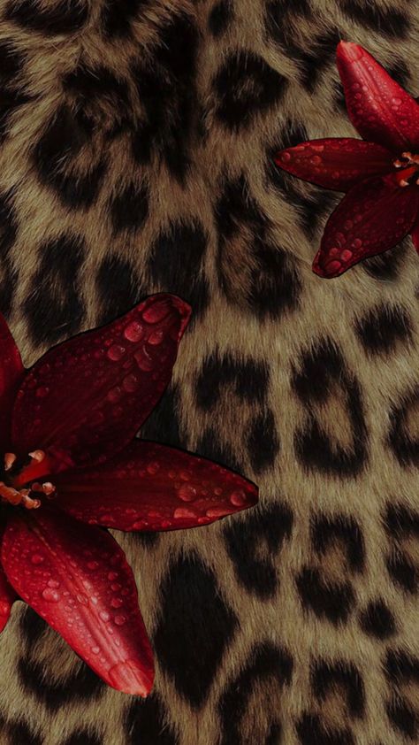 Cheetah Print Lockscreen, Cheetah Print Iphone Wallpaper, African American Wallpaper, Phone Backgrounds Red, Dark Brown Wallpaper Iphone, Ipad Wallpaper Aesthetic Red, Glamour Aesthetic Wallpaper, Wallpaper For Red Iphone, Cheetah Print Wallpaper Iphone