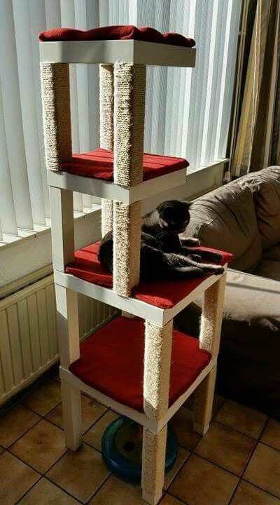 Diy Cat Tower, Katt Grejer, Chat Diy, Cat Patio, Diy Cat Tree, Outdoor Cat Enclosure, Cat House Diy, Cat Towers, Cats Diy Projects