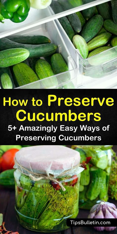 Learn how to preserve cucumbers with or without pickling. Try a delicious pickles recipe, or a yummy way to prepare cucumber chips when dehydrating them. Follow these simple guides for canning, pickling, freezing, and even drying your cucumbers. #preserve #cucumbers #storecucumbers Canning Cucumbers And Onions, How To Preserve Cucumbers, Canning Cucumber Recipes, Freezing Cucumbers, Preserve Cucumbers, Cucumber Ideas, Cucumbers Recipes, Preserving Cucumbers, Garden Preservation