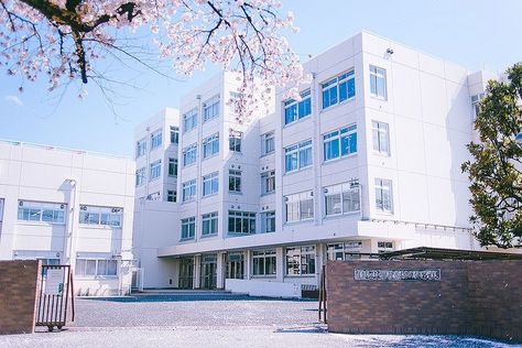 Tokyo School, Campus Aesthetic, Japan School, Manga School, Tokyo Photography, Japanese Village, Delhi Metro, Classic House Design, School Campus