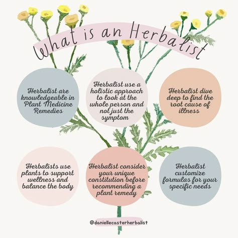 Danielle Caster 🌿 Herbalist on Instagram: "🌿 For more information, or to schedule a 15 minute exploratory call, click the link in bio or visit www.daniellecaster.com 🌿 #herbalist #herbalistsofinstagram #herbalmedicine #herbalism #plantswork" Herbalist Tattoo, Herbalist Wallpaper, Herbalism Journal Ideas, Christian Herbalist, Herbalist Business, Becoming A Herbalist, Learning Herbalism, Herbalism Aesthetic, Beginner Herbalist