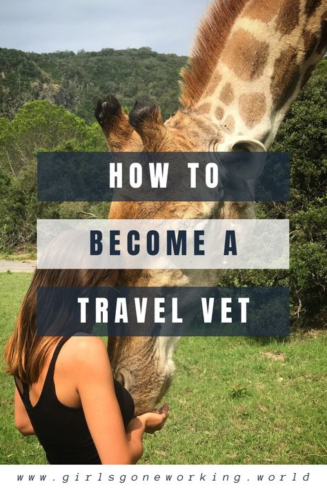 Combine your love for animals with your passion for travel as a travel vet nurse! Find jobs abroad to work with exotic animals around the world. Get tips to getting hired and the best websites to find jobs abroad. #girlsgoneworking #travelvet #jobsabroad Vet Study Aesthetic, Vet Student Aesthetic Notes, Vet Surgeon Aesthetic, Travel Veterinarian, Working With Animals Aesthetic, Wildlife Vet Aesthetic, Vetmed Aesthetic, Exotic Veterinarian Aesthetic, Wildlife Veterinarian Aesthetic