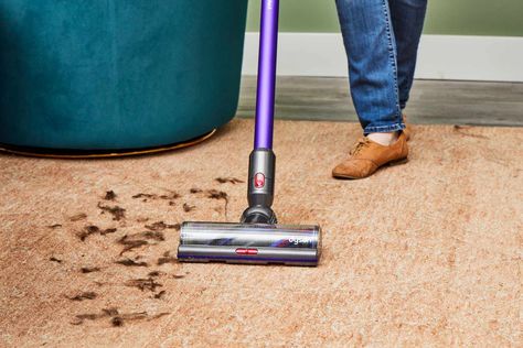 The 10 Best Pet Hair Vacuums, Tested by Real Simple Best Pet Hair Vacuum, Cleaning Upholstered Furniture, Best Handheld Vacuum, Pet Hair Vacuum, Brush Roll, Best Vacuum, Canister Vacuum, Handheld Vacuum Cleaner, Upright Vacuums