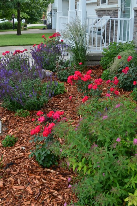 Cedar Mulch Landscaping Ideas, Red Mulch Landscaping Front Yards, Cedar Mulch Landscaping, Cedar Mulch, Mulch Garden, Plant Beds, Landscaping Rock, Mulch Landscaping, Landscaping Curb Appeal