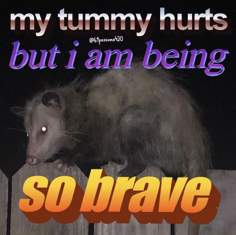 Tummy Ache Reaction Pic, Stomachache, Tummy Hurt Reaction, Tummy Problems Funny, Tummy Hurts, My Tummy Hurts, My Tummy Hurts But Im Brave, Victoria + Core, Tummy Ache