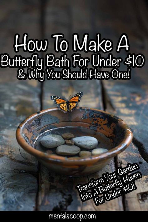 How To Make A Butterfly Bath For Under $10 & Why You Should Have One! - Mental Scoop Water For Butterflies, How To Attract Butterflies, Butterfly Water Dish, Butterfly Feeder Diy, Butterfly Watering Station, Butterfly Fountain, Bee Hotels, Bee Business, Butterfly Bath