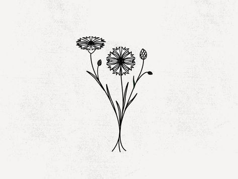 CORNFLOWER by Alyson Brown #wolfandwildflowers Cornflower Tattoo, Line Drawing Tattoos, One Line Tattoo, Symbol Drawing, Feather Tattoo Design, Owl Tattoo Design, Kawaii Tattoo, Incredible Tattoos, Lace Tattoo