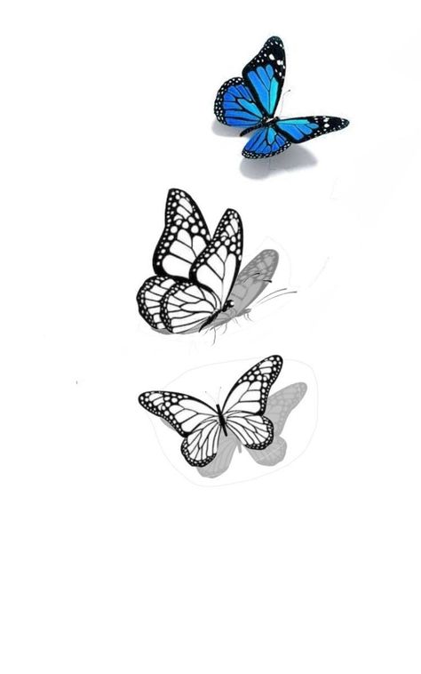 3d Butterfly Tattoo Designs, Butterfly 3d Tattoo, Realistic Butterfly Tattoo, Simple Butterfly Tattoo, Butterfly Tattoo Stencil, 3d Butterfly Tattoo, Blue Butterfly Tattoo, Butterfly Hand Tattoo, Butterfly Sketch