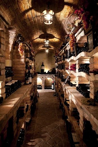 Old Wine Cellar, Tonneau Bar, Wine Cellar Basement, Wine Cave, Home Wine Cellars, Root Cellar, Wine Cellar Design, Cellar Design, Wine Collection