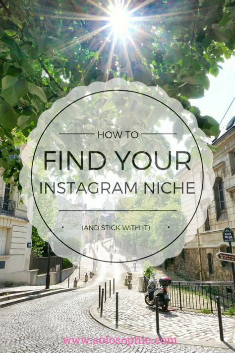 Instagram Niche, Find Your Niche, Author Platform, Instagram Tools, Social Media Management Services, Find Instagram, Business Marketing Plan, Social Media Marketing Plan, Instagram Algorithm