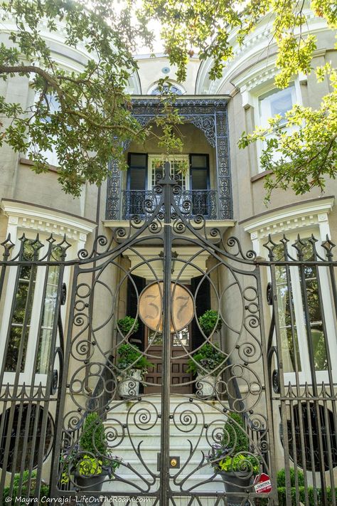 Best Historic Architecture in Charleston: a Self-Guided Walking Tour (with Map) Charleston Architecture, Moore House, Rainbow Row, Live Oak Trees, Historic Houses, Historic Architecture, Oak Trees, Greek Revival, Iron Gates