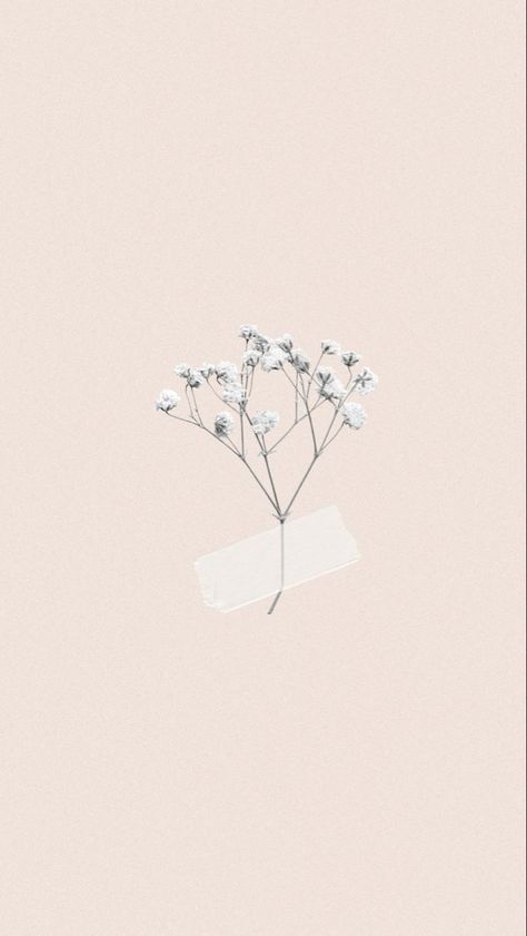 Phone Wallpaper Boho, Vintage Flowers Wallpaper, Cute Simple Wallpapers, Minimalist Wallpaper, Iphone Background Wallpaper, Simple Wallpapers, Pastel Wallpaper, Cute Backgrounds, Cute Wallpaper Backgrounds