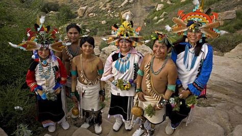 History Fair Projects, Hopi Tribe, Fair Projects, History For Kids, Facts For Kids, Indian History, Human Rights, Native American, Arizona