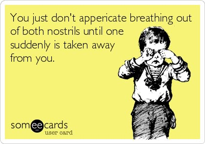 You just don't appericate breathing out of both nostrils until one suddenly is taken away from you. Belly Laughs, Clipuri Video, Have A Laugh, E Card, Ecards Funny, Someecards, Bones Funny, The Words, Funny Cute