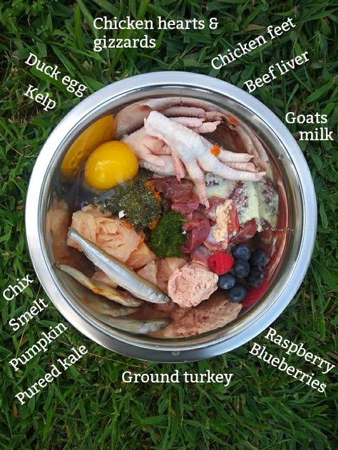 Cheap Raw Food Diet For Dogs, Dog Barf Diet, Half Kibble Half Raw Diet For Dogs, Puppy Raw Food Recipes, Raw Food Diet For Small Dogs, Raw Meat For Dogs, Raw Fed Dogs Diet, Raw Food Recipes For Dogs, Healthy Dog Food Toppers