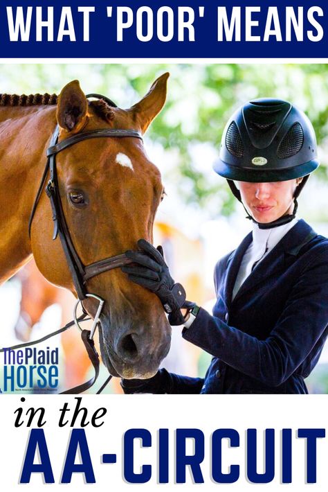 Equestrian Workout, Horse Showjumping, Horses Pictures, Horse Show Mom, Owning A Horse, English Horse Tack, Horse Showing, Horse Magazine, Riding Tips