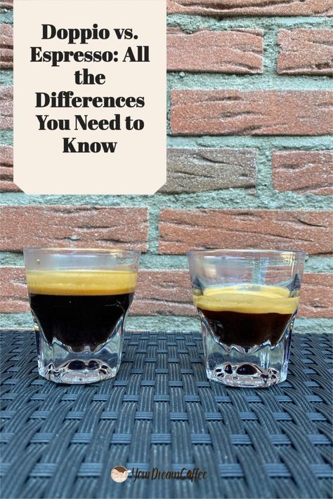 Do you know what the difference is between a doppio and an espresso? Do you know when to order each one? This guide will tell you everything you need to know about them! Aeropress Recipes, Coffee House Cafe, Espresso Recipes, Kinds Of Beans, Espresso At Home, Aeropress Coffee, Coffee Shot, Double Espresso, Caffeine Content