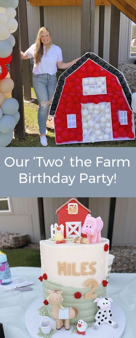 barn themed birthday cake and barn balloon display. Barnyard 3rd Birthday Party, Blue Barnyard Party, Farm Theme Two Year Old Party, Farm Theme Third Birthday, Two Year Old Barnyard Birthday, Animal Farm Party Ideas 2nd Birthday, Farm Picnic Birthday Party, Backyard Farm Birthday Party, Two Farm Birthday