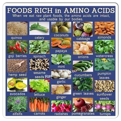 Foods rich in Amino Acids Amino Acids Food, Coconut Quinoa, Cucumber Seeds, Pumpkin Leaves, Nutritious Snacks, 200 Calories, Amino Acid, Eating Raw, Goji Berries