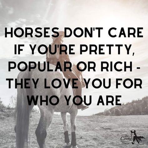 Horse Sayings Quotes, Cowgirl Quotes Sassy, Horse Girl Quotes, Horse Sayings, Rodeo Nails, Cowgirl Secrets, Quotes Sassy, Angus Cattle, Sarah Grace