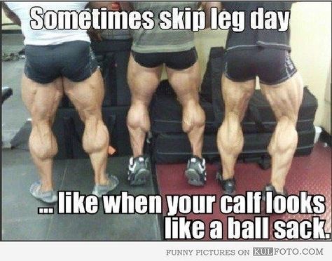 General Health & Fitness: Humor BodySpace FitBoard Leg Day Humor, Dorian Yates, Funny Captions, Memes Humor, Gym Humor, A Gym, Workout Humor, A Mirror, Legs Day