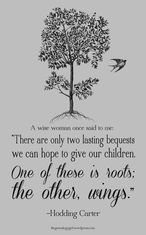 Hodding Carter quote Family Tree Quotes Roots, Tree Of Life Quotes, Family Tree Quotes, Ancestors Quotes, Genealogy Quotes, Live Laugh Love Quotes, Family History Quotes, Family History Projects, Ancestry Family Tree