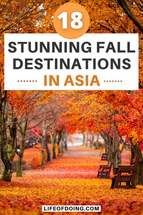 Looking for amazing places to visit in Asia during the fall season? Check out this post on the perfect fall getaway in Asia from Central Asia, Southeast Asia, South Asia, and East Asia. Where to go in Asia in fall season | Asia in fall | Asia in autumn season | Fall destinations in Asia | Fall breaks in Asia | Fall Asia bucket list | Autumn in Asia | Asia travels in fall season #LifeOfDoing Asia Bucket List, Fall Destinations, Cambodia Beaches, Travel Cambodia, Autumn Travel, Amazing Places To Visit, Travel China, Asian Travel, Visit Asia