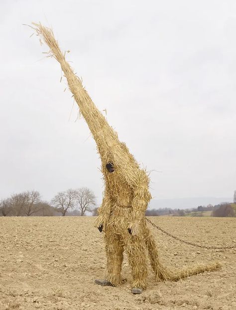 Charles Freger, James Ensor, The Doors Of Perception, Pagan Rituals, French Photographers, Arte Popular, 영감을 주는 캐릭터, Land Art, Alsace